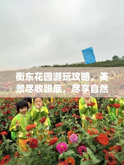 衡东花园游玩攻略，美景尽收眼底，尽享自然之旅！