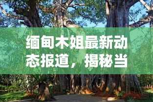 2025年6月 第122页