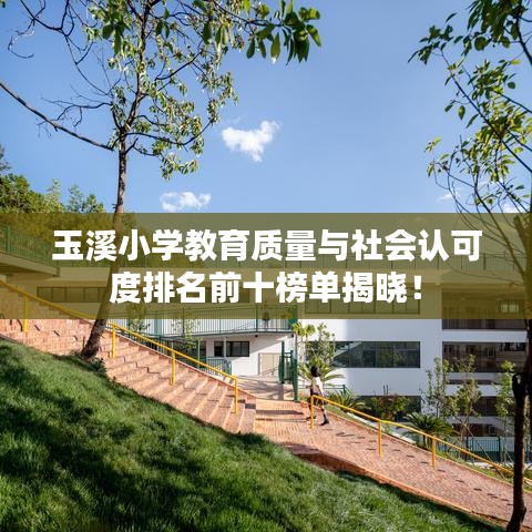 玉溪小学教育质量与社会认可度排名前十榜单揭晓！