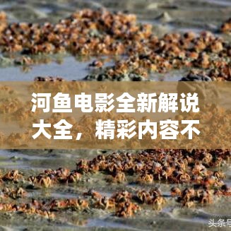采椽不斫