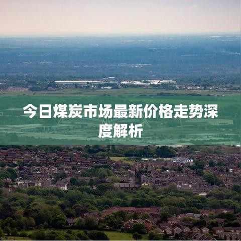 今日煤炭市场最新价格走势深度解析