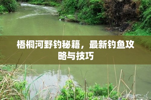 梧桐河野钓秘籍，最新钓鱼攻略与技巧