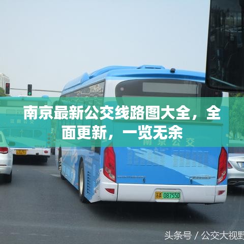 2025年6月 第59页