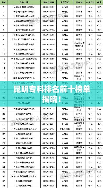 昆明专科排名前十榜单揭晓！