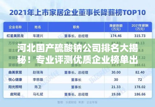 河北国产硫酸钠公司排名大揭秘！专业评测优质企业榜单出炉！