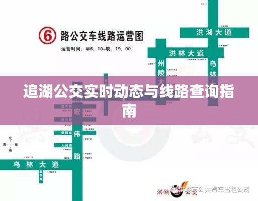 追湖公交实时动态与线路查询指南
