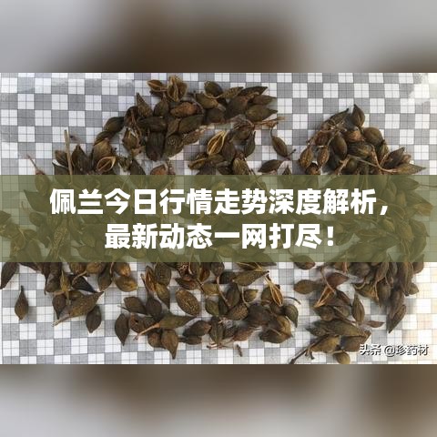 张睢阳齿