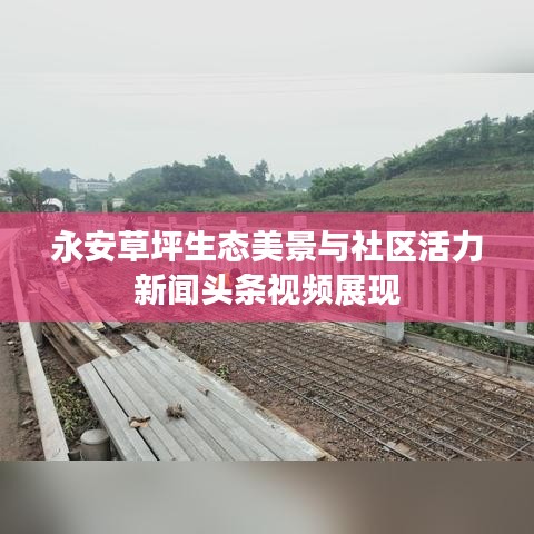 永安草坪生态美景与社区活力新闻头条视频展现