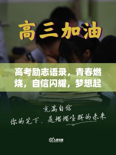 2025年6月 第12页