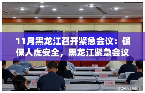 黑龙江召开紧急会议，共筑人虎安全防线，守护家园和谐安宁