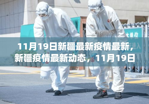 新疆疫情最新动态，11月19日抗疫进展与影响概述