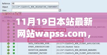 初学者与进阶用户必看，最新网站wapss.com使用指南全攻略