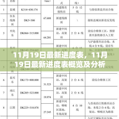 11月19日最新进度表详解，概览与深度分析