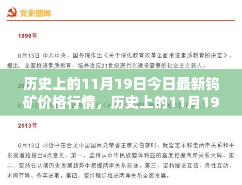 历史上的11月19日钨矿价格行情详解，获取与分析指南