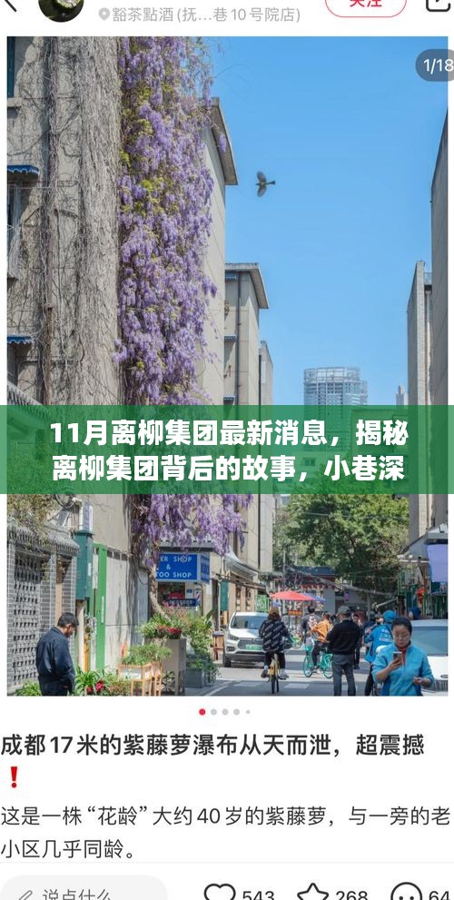 离柳集团最新揭秘，小巷深处的独特风味小店十一月探访之旅