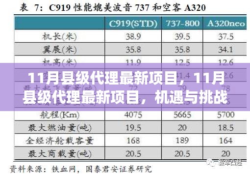 11月县级代理最新项目，机遇与挑战并存