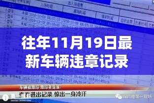 意外惊喜！往年11月19日车辆违章记录查询结果揭晓