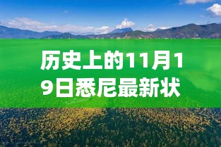 历史上的11月19日，悉尼最新状况与秘境探索，自然美景中的心灵之旅