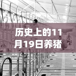 历史上的11月19日，养猪场用地新政策解读与操作指南，最新政策解读及操作指南