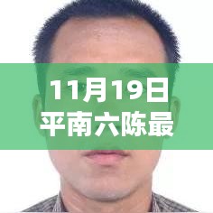 平南六陈最新动态报道，聚焦要闻，揭秘11月19日最新消息