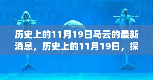 探寻马云足迹，商业巨擘的最新消息与历史洞察（日期，11月19日）