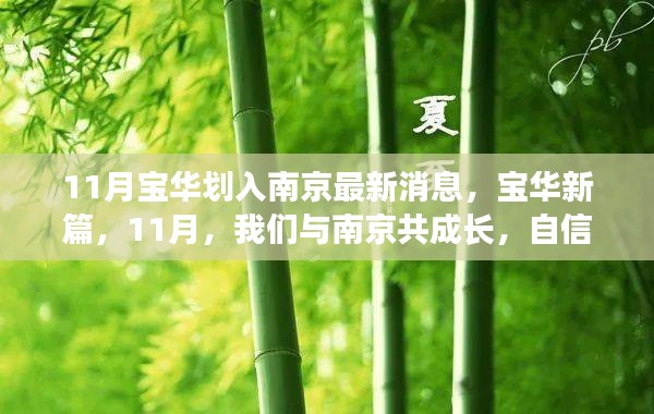 11月宝华划入南京最新动态，共成长，启新篇的自信与成就感之旅