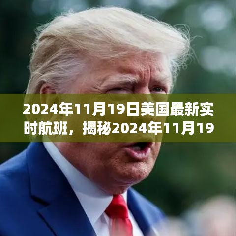 揭秘，2024年11月19日美国实时航班动态概览