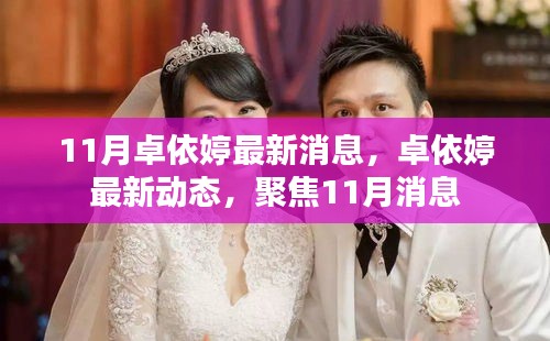 卓依婷11月最新动态与消息聚焦