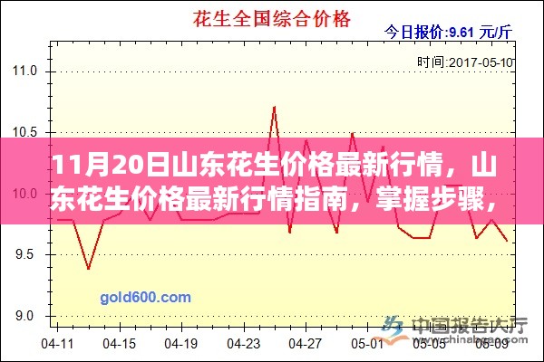 新闻动态 第278页