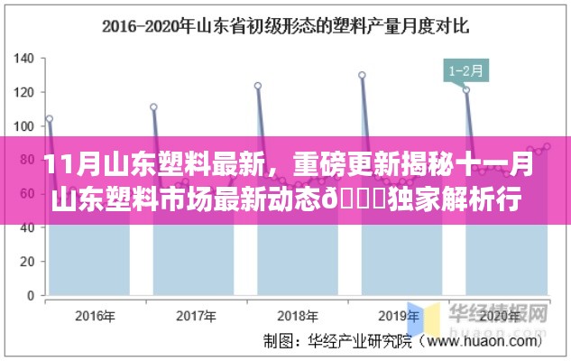 揭秘山东塑料市场最新动态与行业趋势独家解析