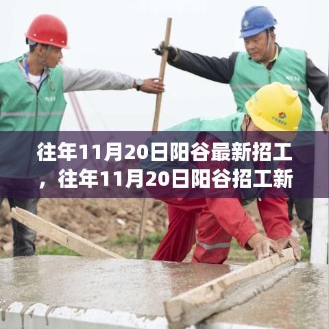 阳谷招工市场深度解析与用户体验评测，最新招工动向及市场特性探讨（往年11月20日）