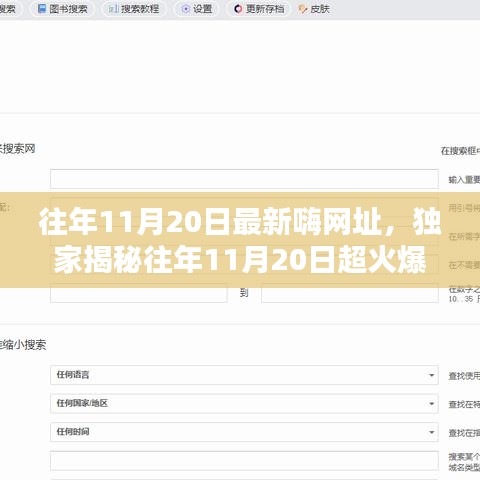 独家揭秘，往年11月20日超火爆嗨网址大放送，嗨不停歇的狂欢盛宴！