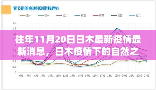 日木疫情最新动态，自然之旅中寻找内心宁静与奇迹的奇迹时刻