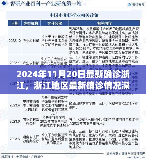 浙江最新确诊深度解析，挑战与机遇并存——浙江地区疫情报告（2024年11月20日）