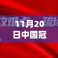 中国冠状病毒最新状态深度解析（截至日期，11月20日）