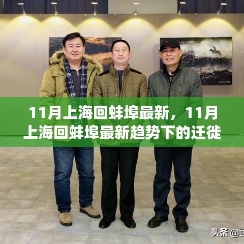 11月上海回蚌埠最新趋势观察与迁徙个人观点分享