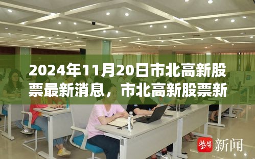 市北高新股票最新动态，学习变革力量，铸就自信成就之路（2024年11月20日）