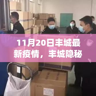 丰城隐秘小巷，疫情下的独特风味探秘——最新疫情观察报告（11月20日）