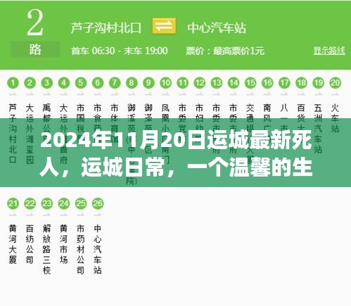 温馨告别，友情长存——运城日常的生命告别故事（2024年11月20日最新）