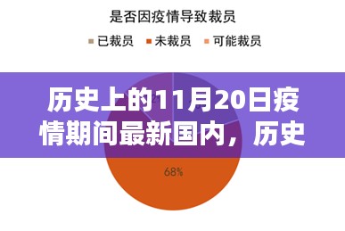 我的观点，历史上的11月20日与疫情期间国内现状的探讨