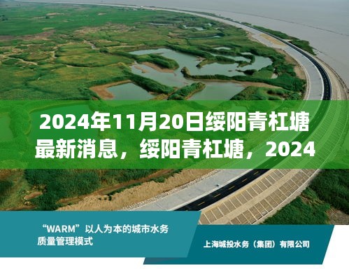 绥阳青杠塘最新进展及深远影响报告，2024年11月20日更新