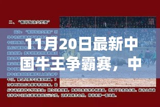 中国牛王争霸赛深度探讨，某某观点解析与对决