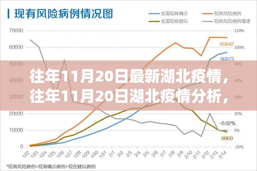 往年11月20日湖北疫情深度分析与解读，最新数据、观点阐述及趋势预测