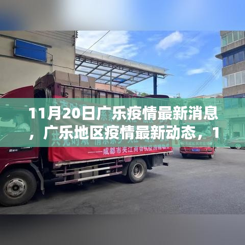 11月20日广乐疫情最新动态，回顾与影响