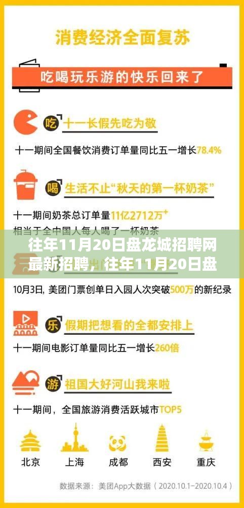 往年11月20日盘龙城招聘网最新招聘信息全解析，求职者的必备指南