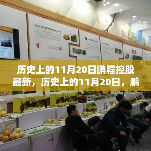 历史上的11月20日鹏程控股最新进展与深度评测揭秘