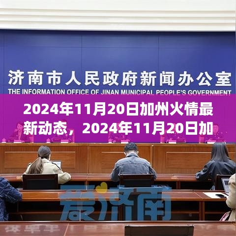 深度解析与个人立场下的加州火情最新动态，多方观点探讨，2024年11月20日