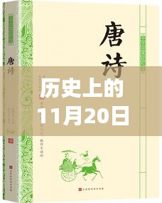 麻衣神算子最新章节阅读指南，历史11月20日更新，初学者与进阶用户必读