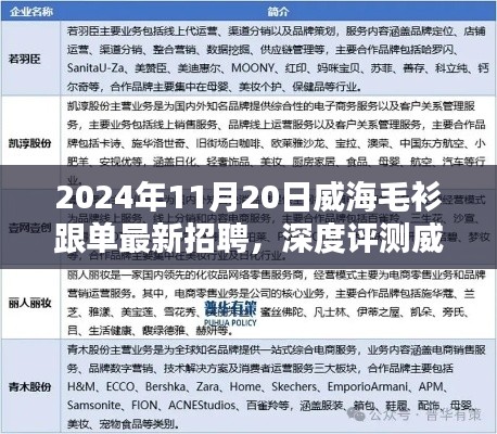 威海毛衫跟单最新招聘深度解析，特性、用户体验与目标受众分析