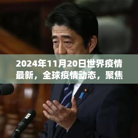 全球疫情动态更新，聚焦2024年11月20日最新进展